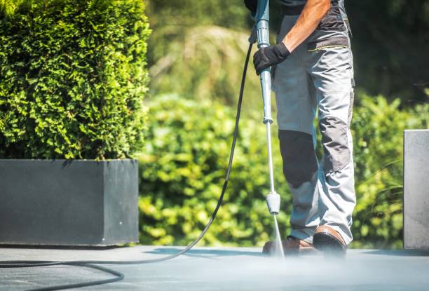 Best Roof Washing  in Prosperity, WV